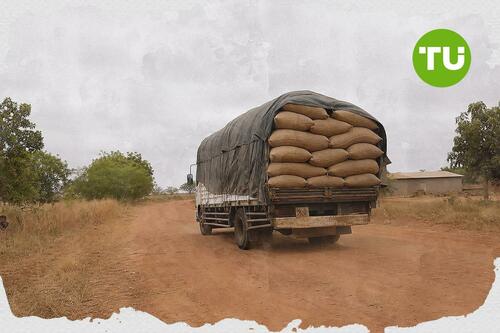 Nigeria cash crop exports lose ground to neighbours under export ban