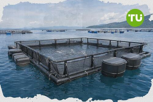 DA-BFAR expands fisheries livelihood support for Sorsogon coastal communities