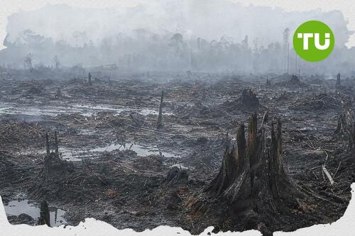 DPR dorong penguatan pencegahan karhutla dan penegakan hukum di Kalimantan