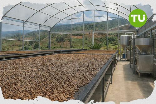 Gayo Lues perkuat pemulihan ekonomi lewat pemberdayaan petani kopi