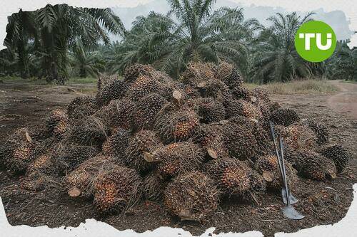 HIS TIZA Pahang buys a 30% stake in Mentiga for RM21 million