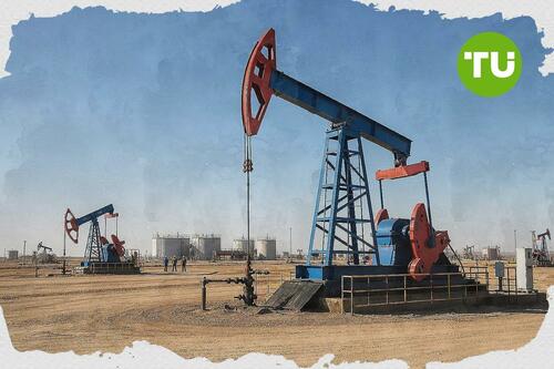 OPEC lifts 2027 oil demand outlook as Iran war depletes inventories