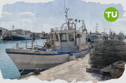 Masaf apre il portale della Cambiale Azzurra per sostenere la liquidità di pesca e acquacoltura