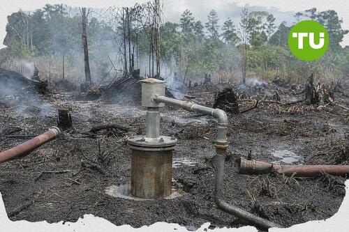 Rencana 200 sumur bor karhutla di Kalimantan Tengah picu sorotan efektivitas operasi