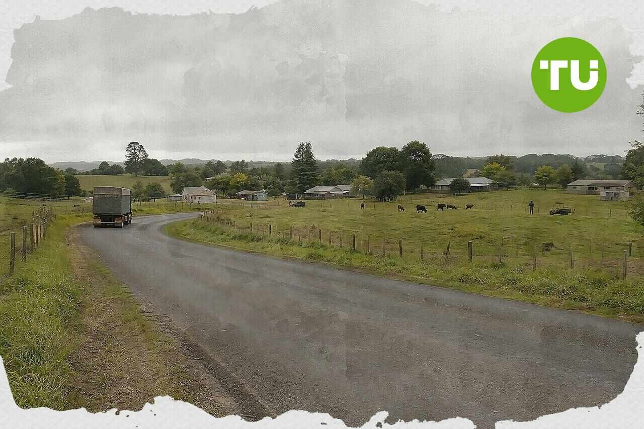 Gippsland feedlot proposal faces council scrutiny amid logistics and amenity concerns