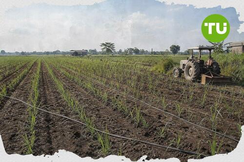 Pemda didorong kembangkan bahan baku bioetanol, Pertamina disiapkan serap produksi domestik