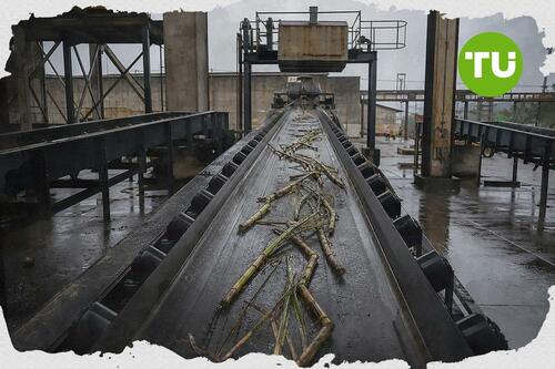 Australian sugar sector gains relief as Brazil election and crop concerns lift prices