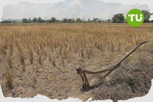 Philippines warns Super El Niño may worsen poverty risk