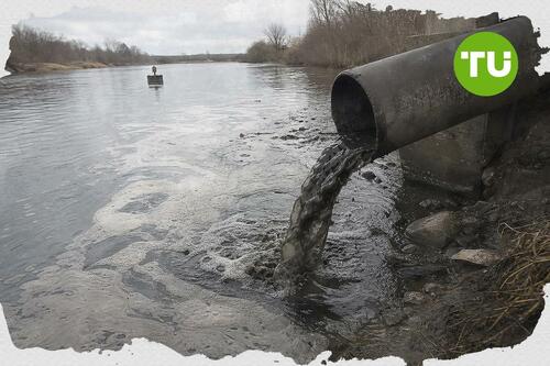 Anglian Water fined over River Brain sewage pollution in Essex