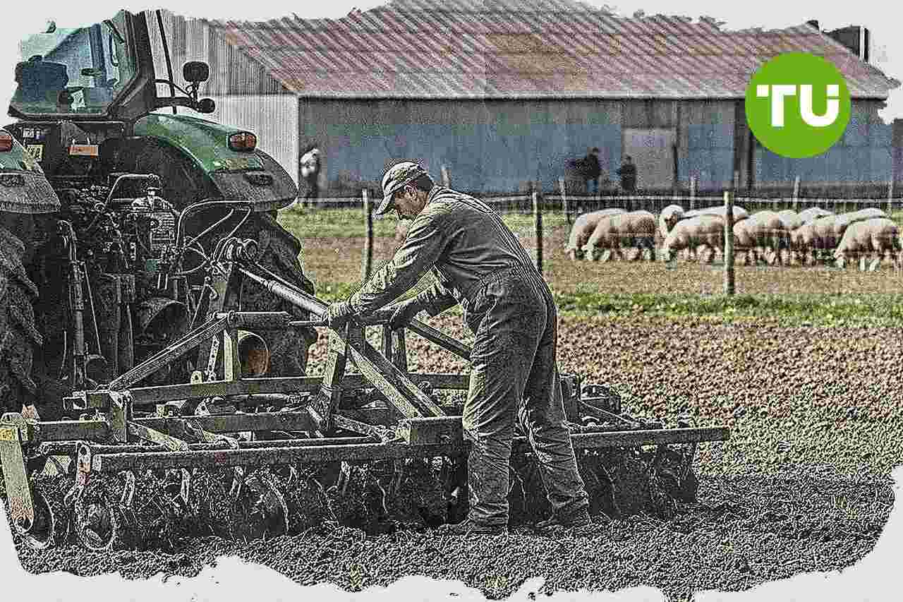Agrohub фіксує плани агрокомпаній підвищити зарплати у 2026 році