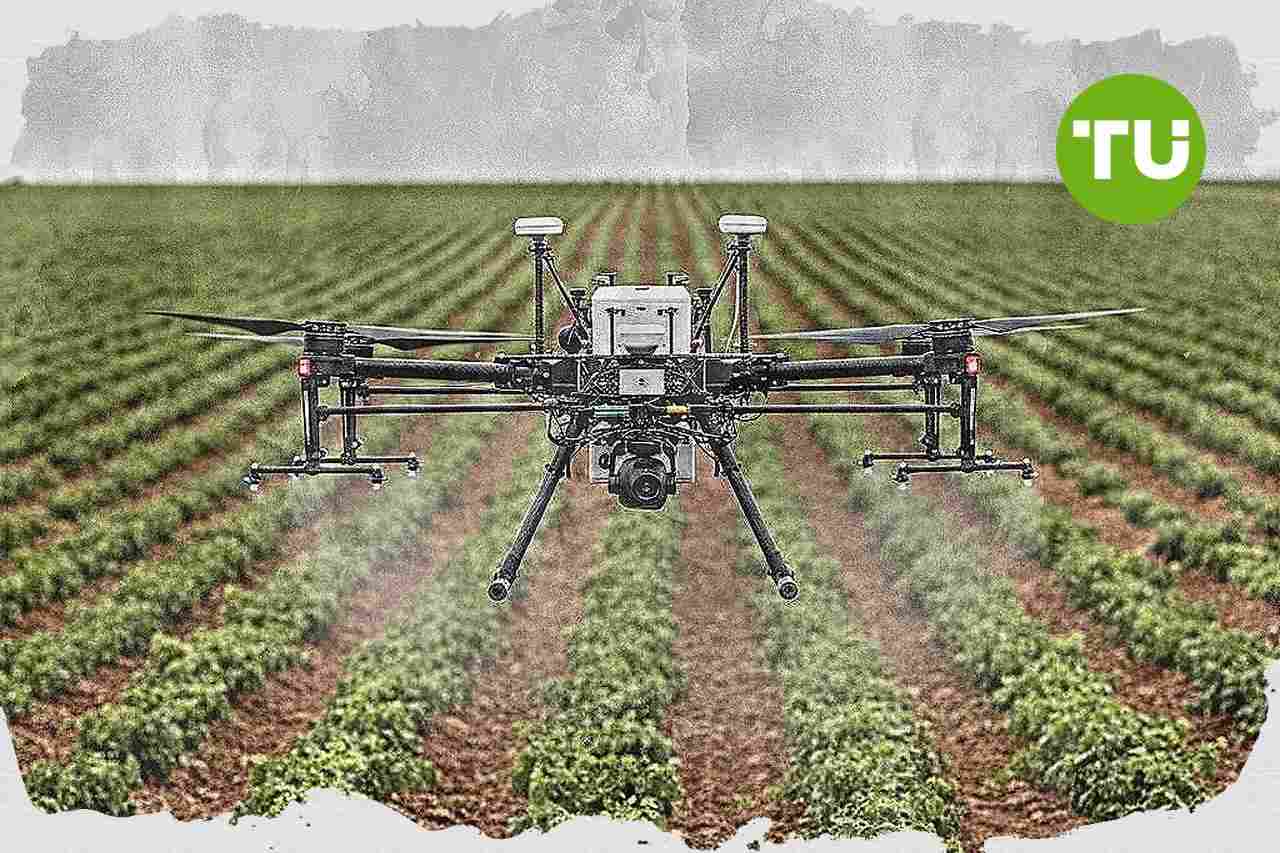 España pide a Bruselas más recursos y trámites ágiles para reforzar la sanidad vegetal