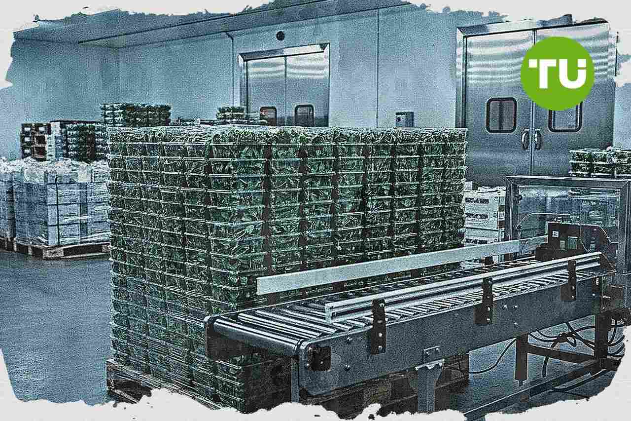 Filiera Italia avvia un’Aop per la quarta gamma, aggregata oltre il 60% della produzione di insalate in busta