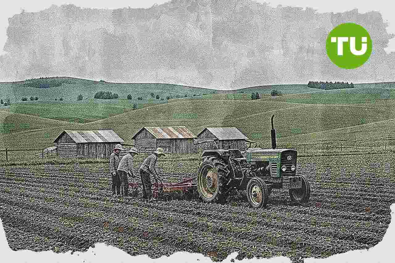 Agricultura impulsa la plataforma Tierra Joven para movilizar suelo agrario e incentivar inversión en el sector