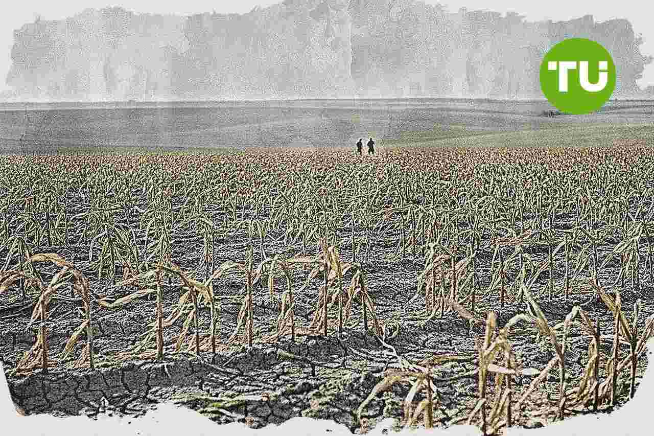 A Groupama Biztosító aszálykockázatra figyelmeztet a magyar agráriumban