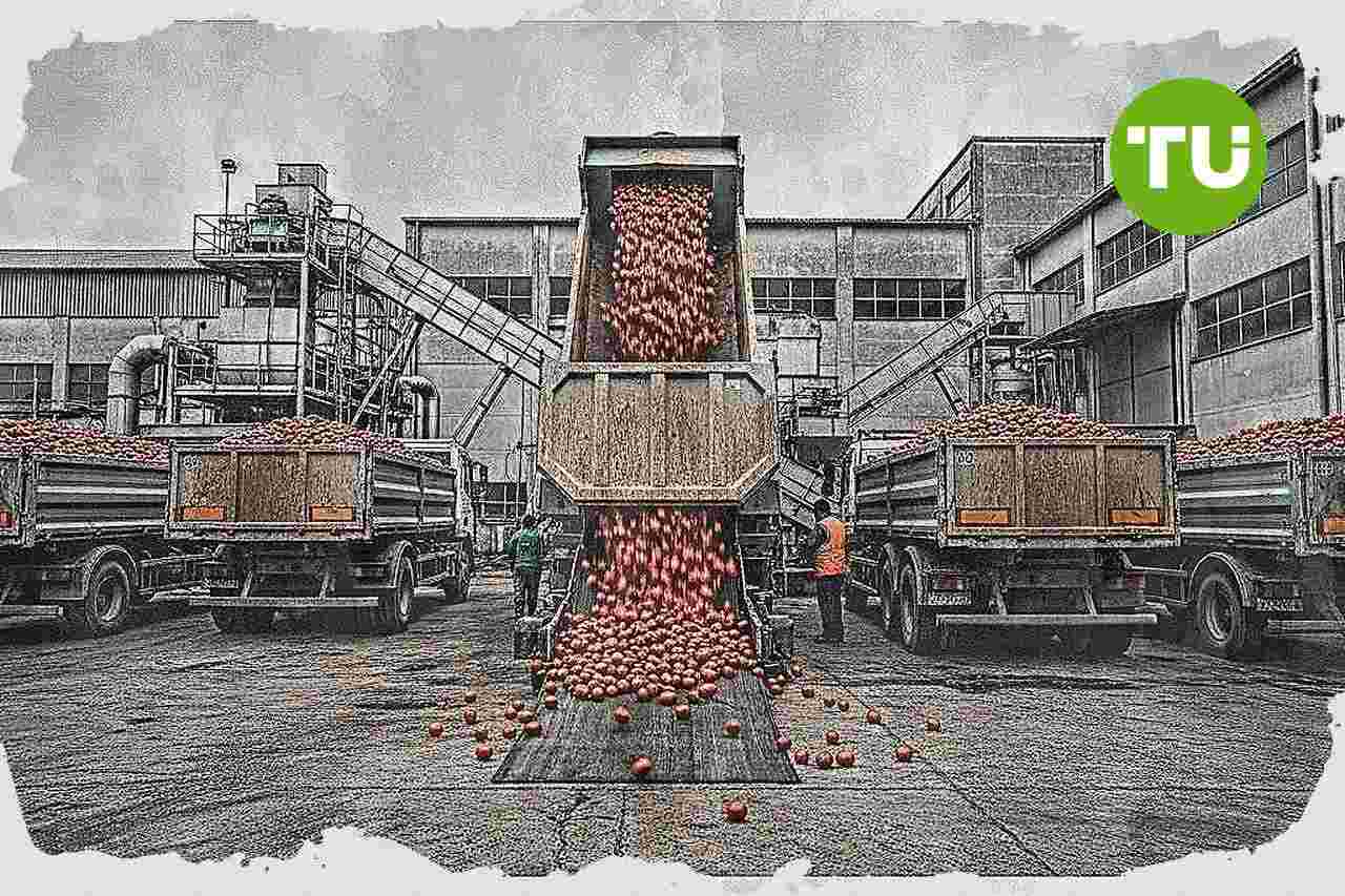 Nord Italia, chiuso l’accordo sul prezzo del pomodoro da industria