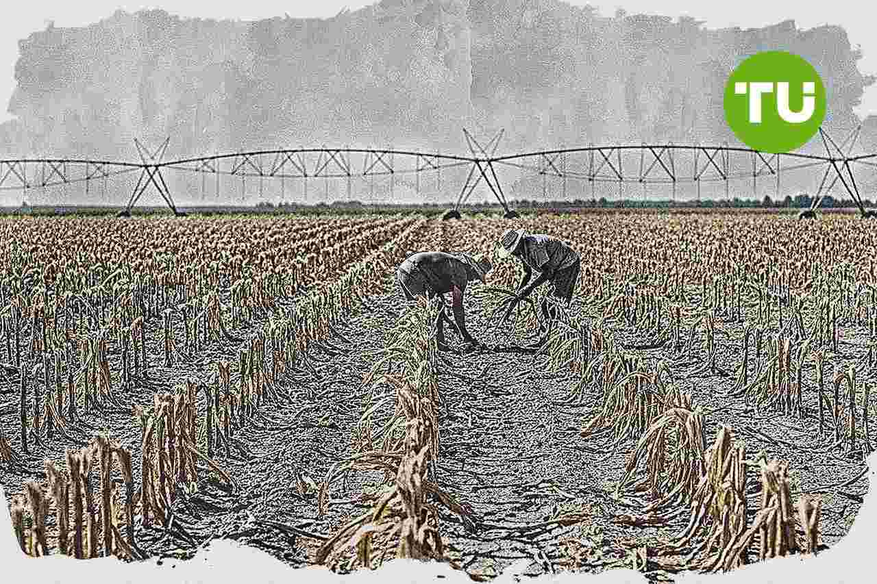 Magyarország rendkívüli agrártámogatáshoz jut uniós tartalékból