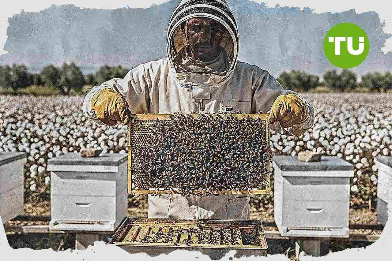 Grecia impulsa la apicultura como vía de valor añadido para la economía