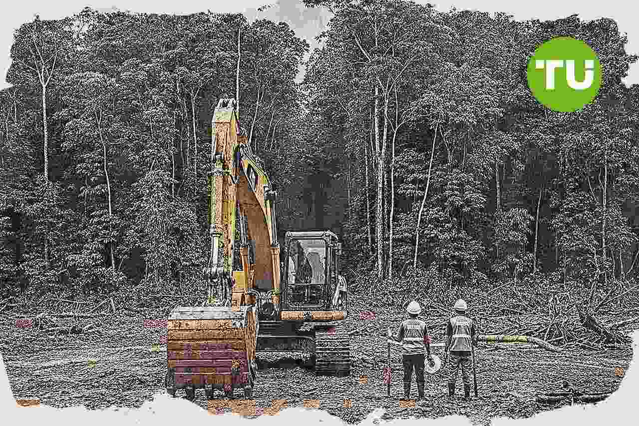Indonesia percepat evaluasi IUP tambang di hutan lindung