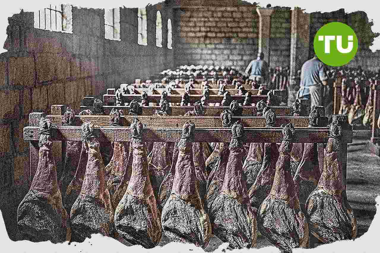 Aracena refuerza el negocio del ibérico como motor económico rural