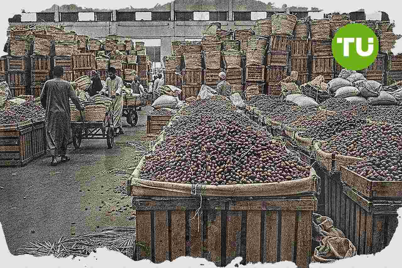 السعودية تظهر اتساع الاكتفاء الذاتي الغذائي في بيانات رسمية