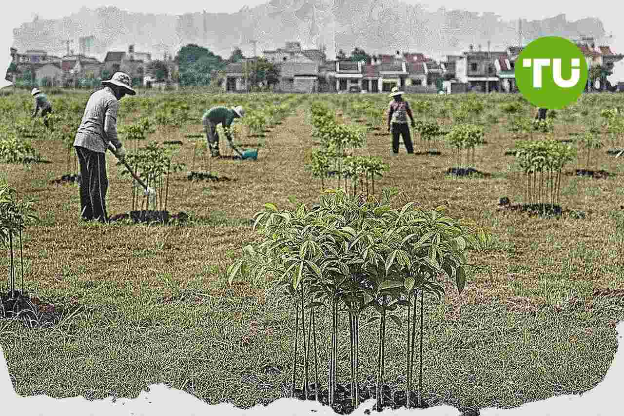 FIFGROUP catat pembiayaan berkelanjutan Rp 747,40 miliar pada 2025