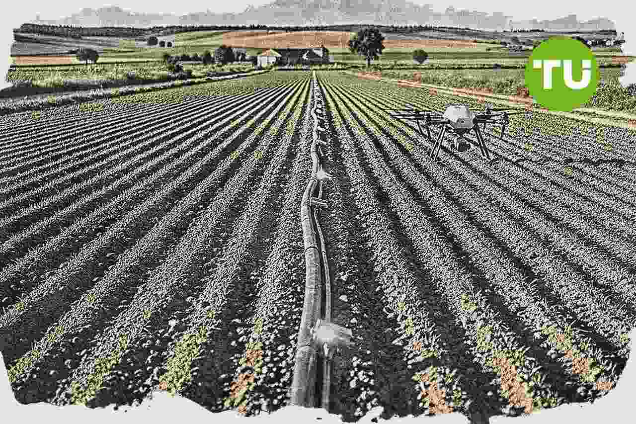 Castilla y León activa 14 proyectos de innovación agroalimentaria con 7,8 millones de inversión