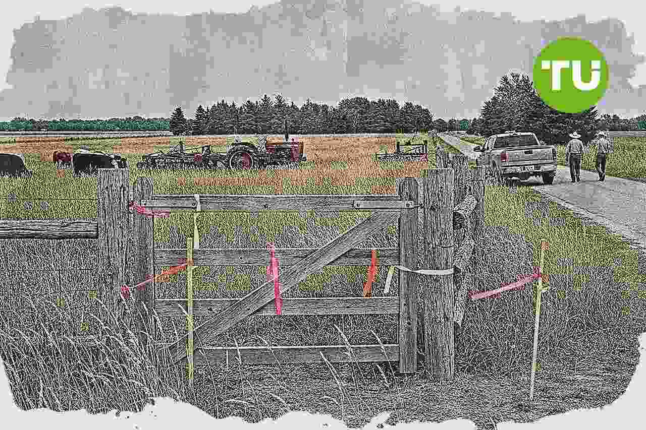 House Oversight panel targets agricultural lawfare at Washington roundtable