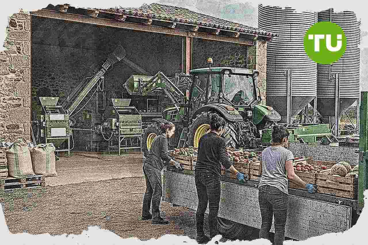 Agricultura sitúa la igualdad como factor de competitividad del sector agroalimentario