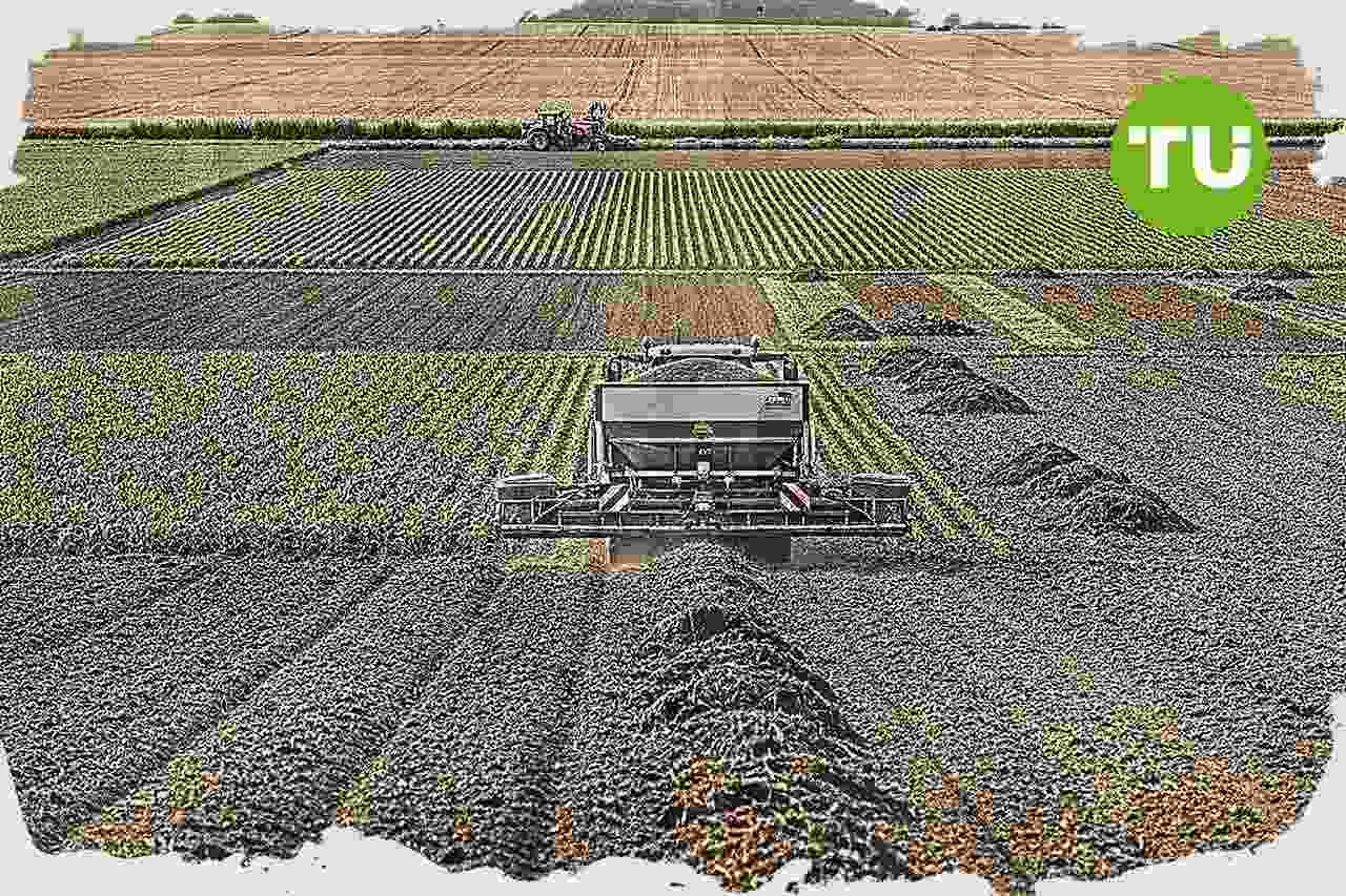 Bf avvia la conversione al biologico dell'intera produzione agricola