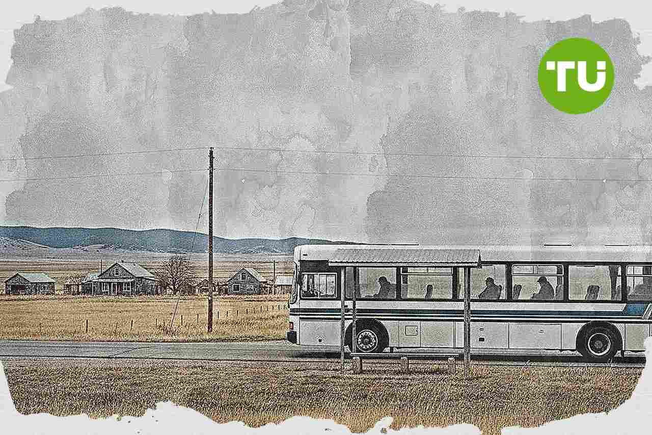 ישראל חושפת פערי יעילות בקווי האוטובוס, עשרות קווים פועלים עם פחות מנוסע בממוצע