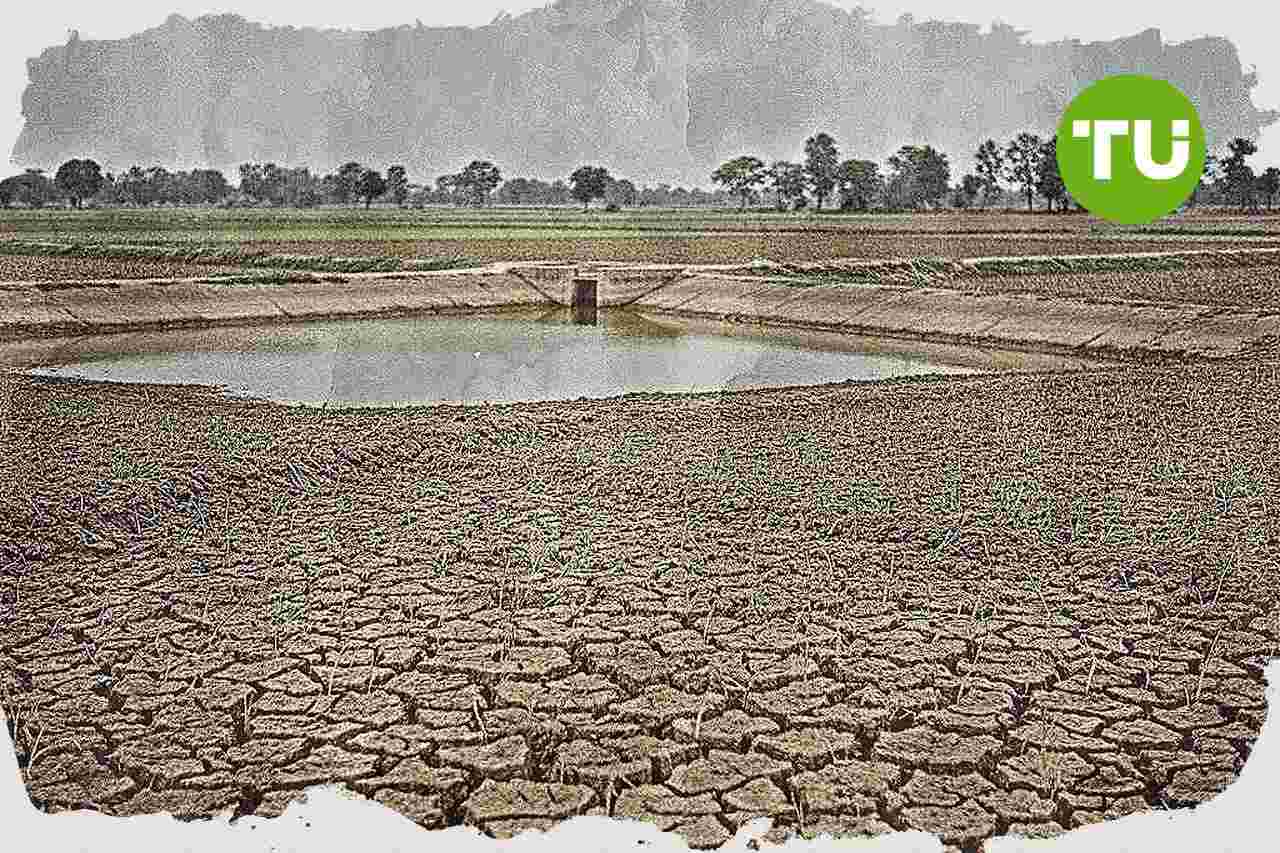 भारत में कमजोर मानसून का असर फसलों पर सीमित रहने की संभावना