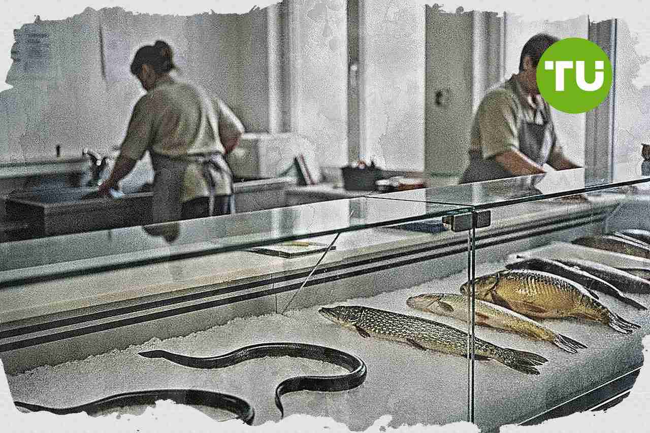 Naturgut Köllnitz meldet Insolvenz an, Käufer für Traditionsbetrieb in Brandenburg gesucht