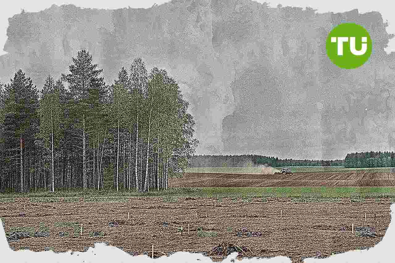 Oripää vie biojalostamon tonttihankinnan pakkolunastukseen Varsinais-Suomessa