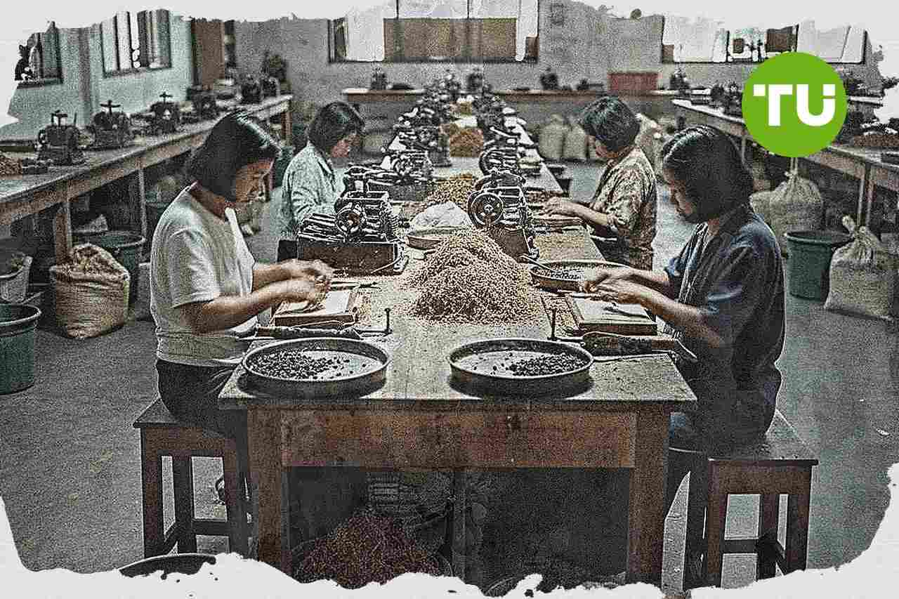 Industri hasil tembakau Indonesia hadapi tekanan rokok ilegal dan risiko PHK massal
