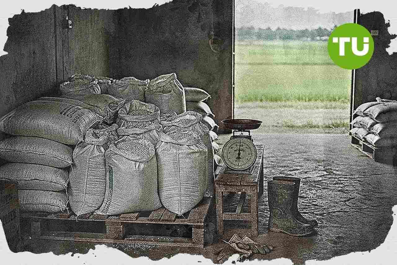 Indonesia pangkas harga pupuk bersubsidi untuk jaga produksi pangan
