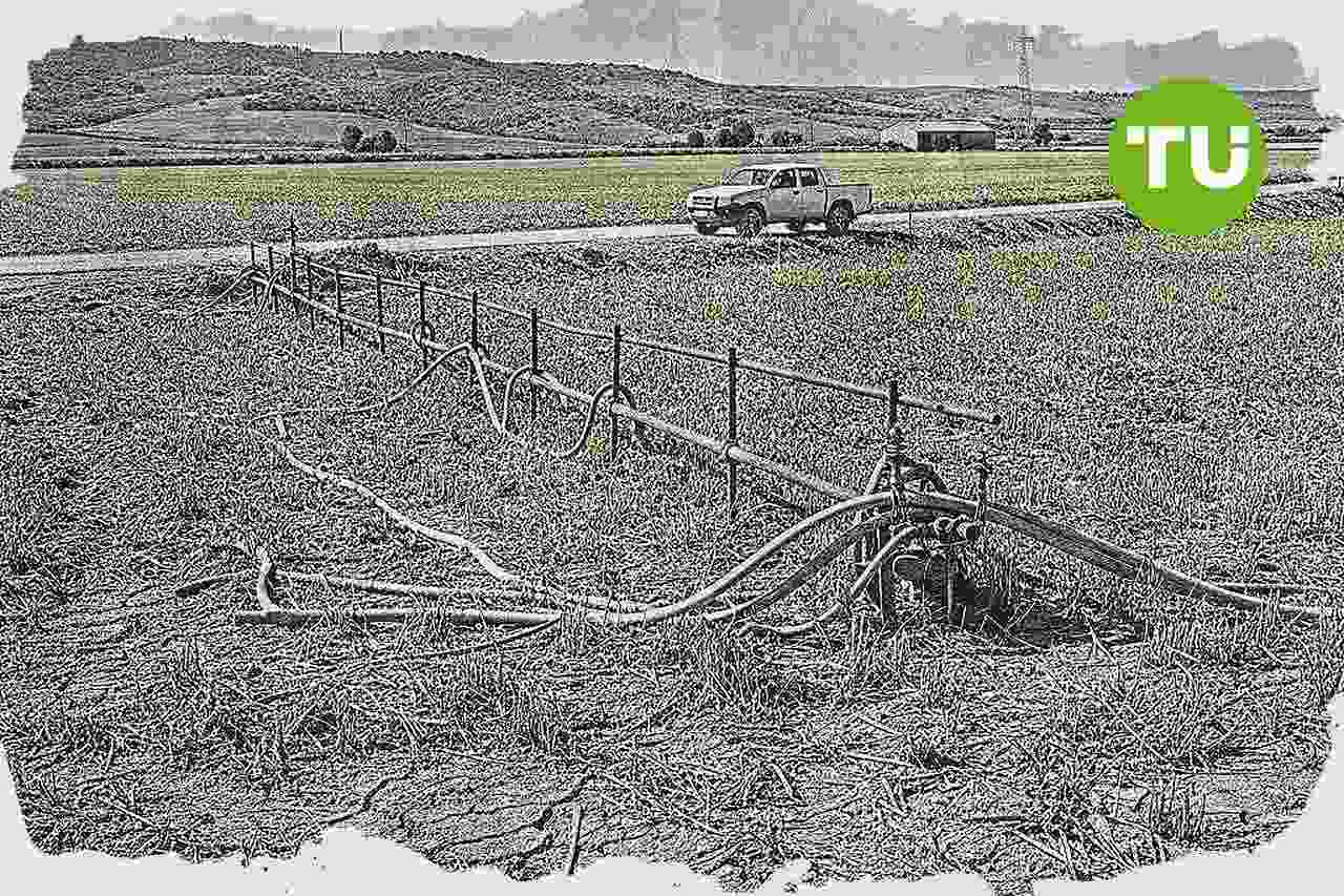 España impulsa un reaseguro agrario europeo y más flexibilidad de fondos ante crisis climáticas