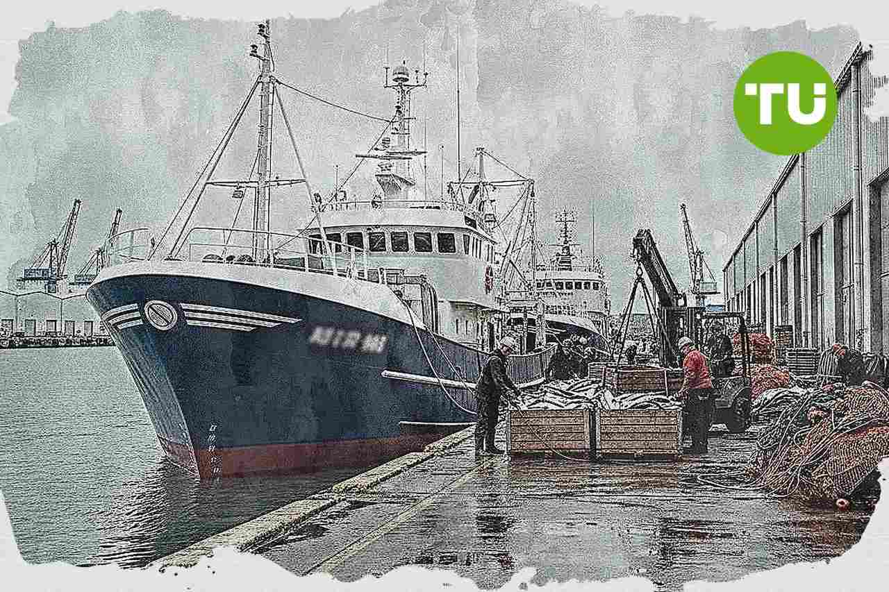 Dongwon Fisheries, 수익구조 전환으로 성장 국면 진입