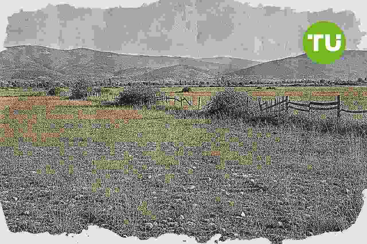 ΟΠΕΚΕΠΕ αντιμέτωπος με δίκη για φερόμενες παράνομες αγροτικές επιδοτήσεις στην Κρήτη