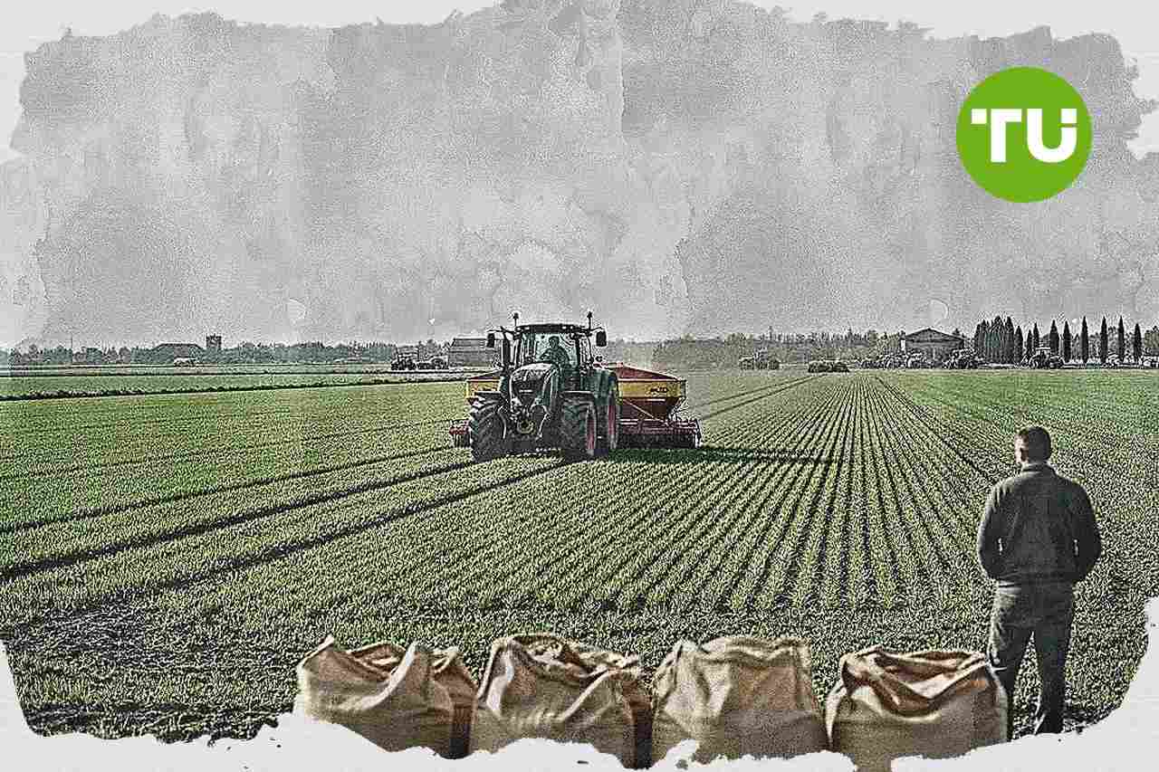 Italia, costi dell'urea in aumento mettono sotto pressione cereali e prezzi alimentari