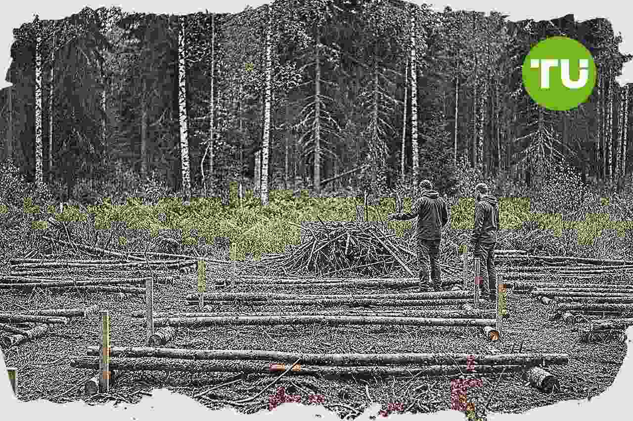 Suomi avaa luonnonarvomarkkinat yksityisrahoituksen vauhdittamiseksi