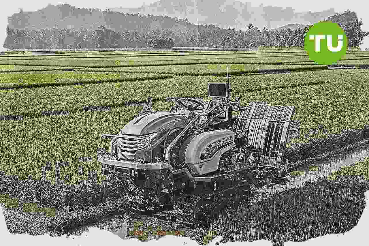 IRRI nilai fondasi pertanian modern Indonesia mulai terbangun