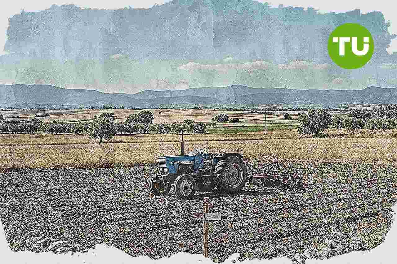 Grecia asegura pagos de la PAC para tierras agrícolas con titularidad inicial del Estado en el Catastro