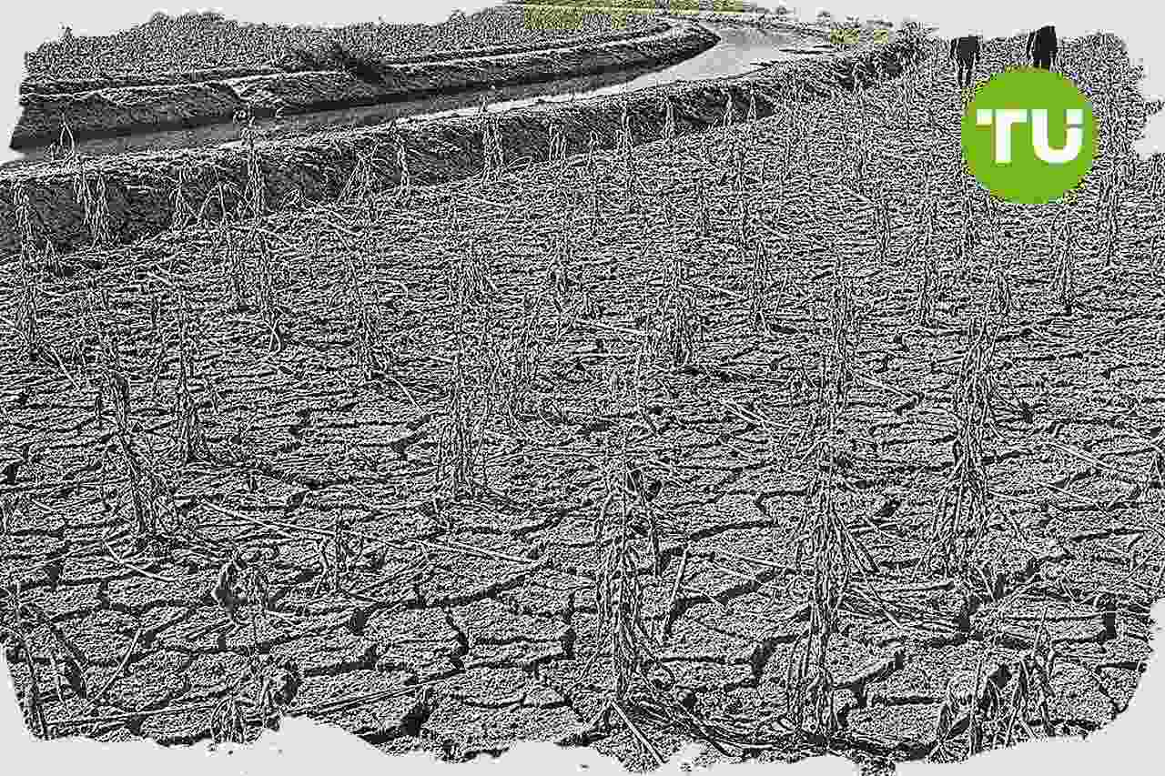 France, des acteurs économiques et scientifiques appellent à dépolitiser le débat environnemental