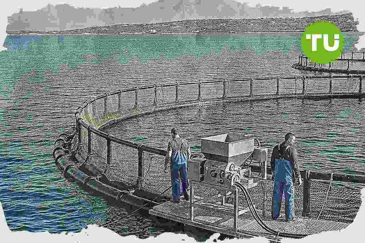 Cooke Aquaculture ολοκληρώνει την εξαγορά της Avramar και εξετάζει νέες κινήσεις στην Ελλάδα