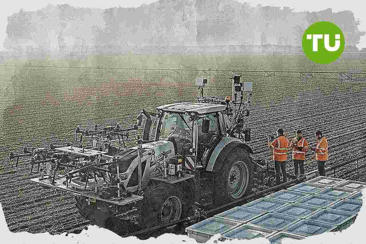 Sector agroalimentario en España impulsa la demanda de talento directivo por la entrada de fondos y la expansión familiar