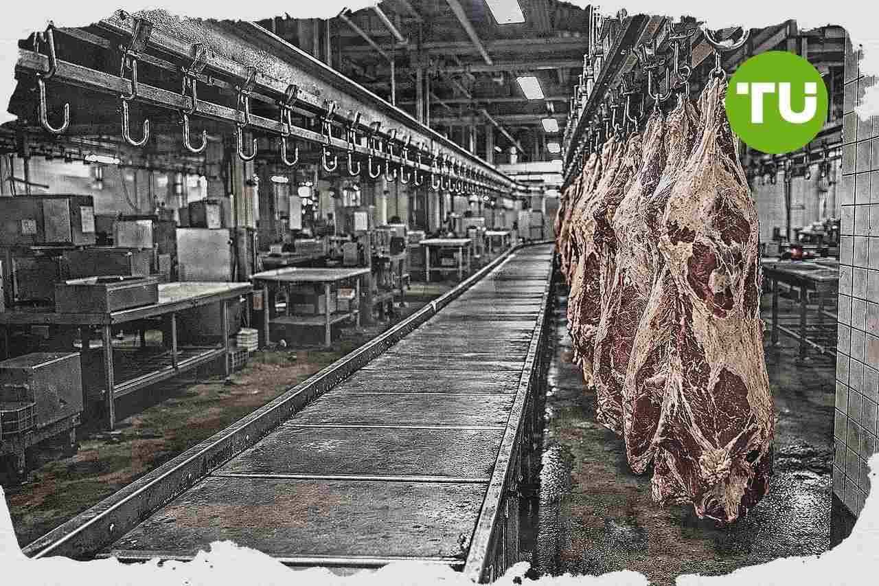 U.S. beef prices climb as supply shortages and market concentration strain the sector