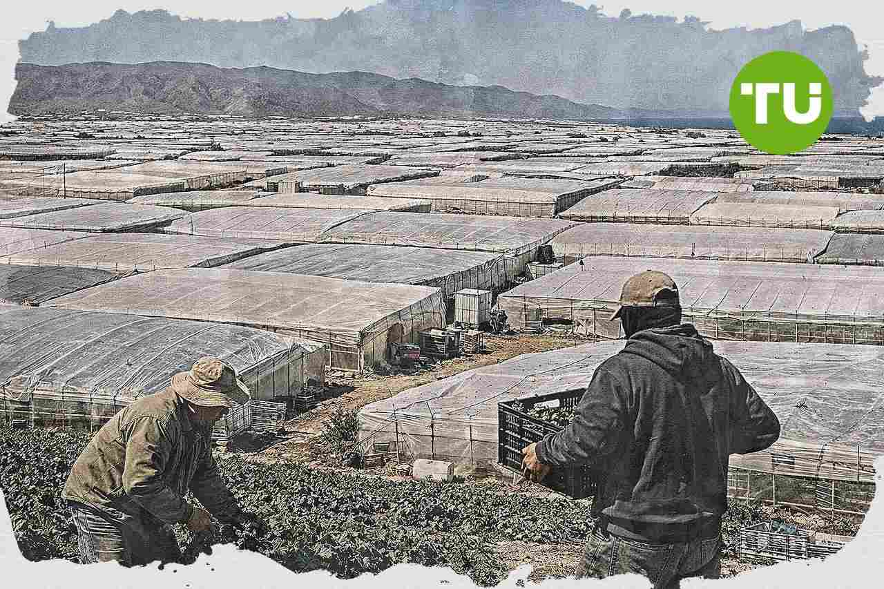 Andalucía refuerza sus polos de turismo, agroindustria, defensa y tecnología por provincias