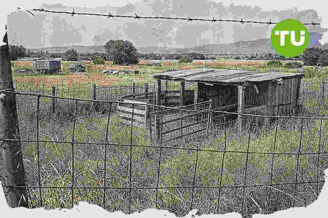 Grecia destapa redes criminales por fraude en subsidios agrícolas de OPEKEPE