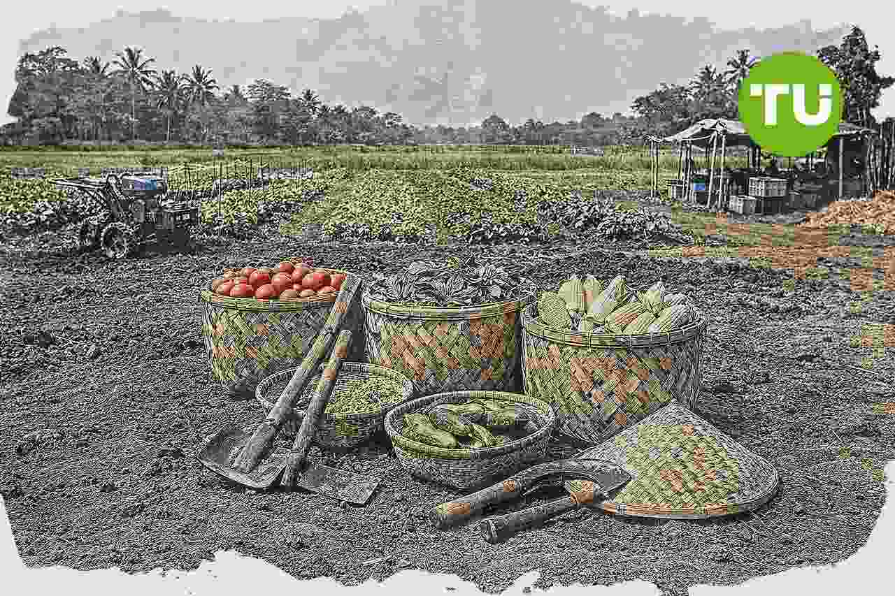 Pemerintah dorong penguatan koperasi untuk transformasi ekonomi nasional