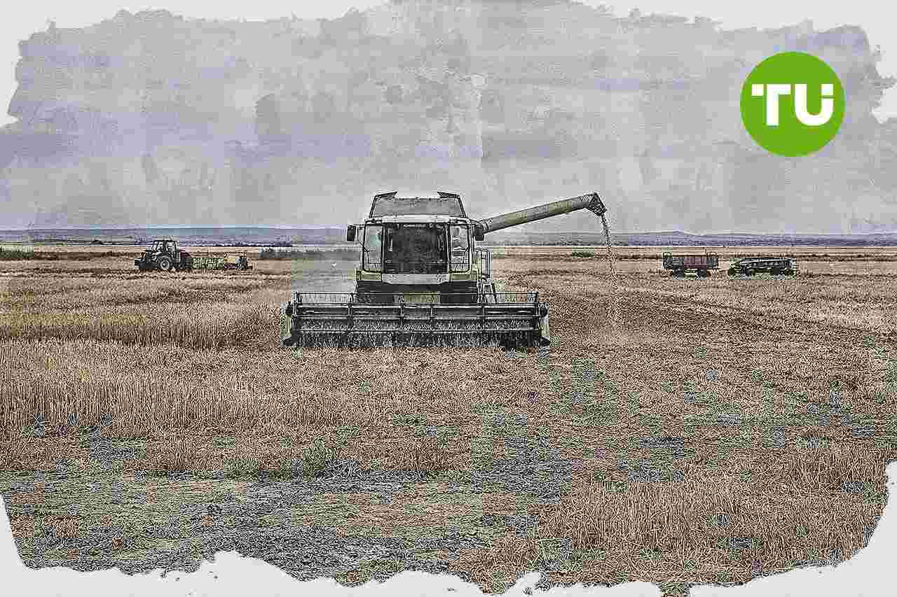 Asaja Castilla y León prevé un desplome de la cosecha de cereal y eleva la presión sobre la rentabilidad agraria